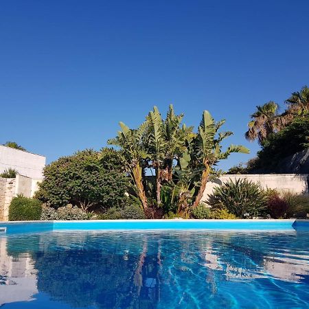 Villa Karmarea モーラ・ディ・バーリ エクステリア 写真